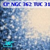 Cl* NGC  362    TUC     310