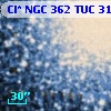 Cl* NGC  362    TUC     315