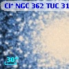 Cl* NGC  362    TUC     318