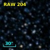 RAW  204