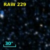 RAW  229