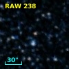 RAW  238