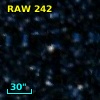 RAW  242