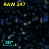 RAW  247