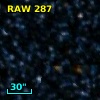 RAW  287