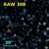 RAW  308