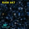 RAW  447