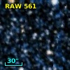RAW  561