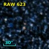 RAW  623