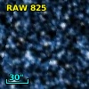 RAW  825