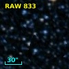 RAW  833