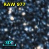 RAW  977