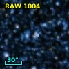 RAW 1004