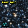 RAW 1010