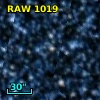 RAW 1019