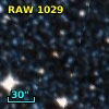 RAW 1029