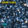RAW 1061