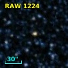 RAW 1224