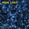 RAW 1261