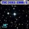 TYC 3181-1900-1