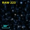 RAW  223