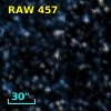 RAW  457