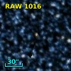 RAW 1016