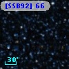[SSB92]  66