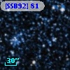 [SSB92]  81