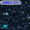 [SSB92] 125