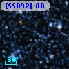 [SSB92]  80
