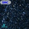 SMC ASS 27