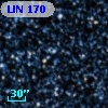 LIN 170