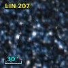 LIN 207