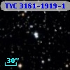 TYC 3181-1919-1