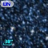 LIN 240