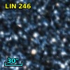 LIN 246
