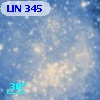 LIN 345