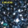 LIN 436