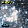 LIN 439