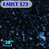 FAUST  123