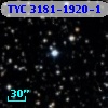 TYC 3181-1920-1