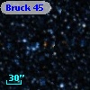 Bruck  45
