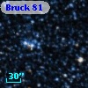 Bruck  81