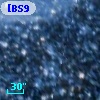 [BS95] 271