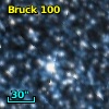 Bruck 100