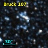 Bruck 107