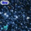 Bruck 110