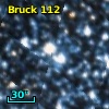 Bruck 112