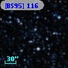 [BS95] 116